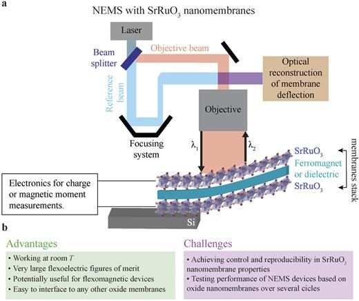 Materials challenges for SrRuO3: From conventional to quantum ...