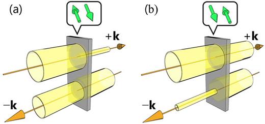 Illustrations of nonreciprocal directional dichroism (NDD). (a) The NDD is characterized by a change in optical absorption when the direction of light propagation is reversed between +k and −k. The thick gray plate indicates a sample. The size of the diameter of the yellow cylinders represents the intensity of the incident and transmitted light. (b) By reversing the magnetic order parameter (here, antiparallel spins are indicated by green arrows), the sign of NDD is also reversed.