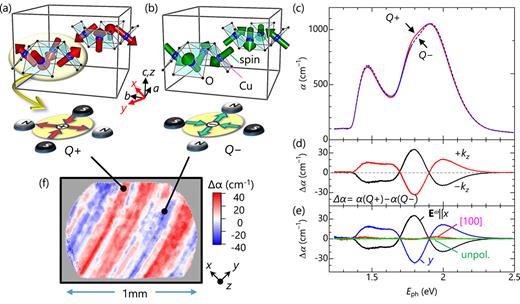 Optical visualization of antiferromagnetic (AFM) domains in Pb(TiO)Cu4(PO4)4. (a) and (b) Magnetic structures for (a) Q+ and (b) Q− AFM domains. (c) Absorption coefficient spectra for Q+ [α(Q+)] and Q− [α(Q−)] in the photon energy range 1.2 < Eph < 2.5 eV. (d) Subtraction spectra Δα ≡ α(Q+) − α(Q−) for opposite directions of light propagation (+kz and −kz). (e) Light polarization (Eω) dependence of Δα. (f) Two-dimensional map of Δα obtained at 5 K < TN. The color contrast corresponds to the AFM domains. Adapted from Ref. 21.