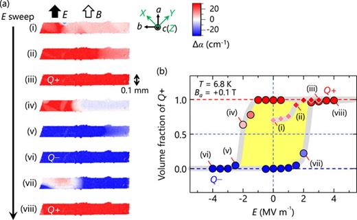 Visualization of AFM domains in Pb(TiO)Cu4(PO4)4 in response to external fields. (a) AFM domain images in a sequentially applied electric field (E) in the presence of a biased magnetic field (B). Both E and B are along the a axis. More red (blue) color corresponds to a larger fraction of domain Q+ (Q−). (b) The E dependence of a volume fraction of Q+. The Roman numerals in (b) correspond to the images in (a). Adapted from Ref. 21.