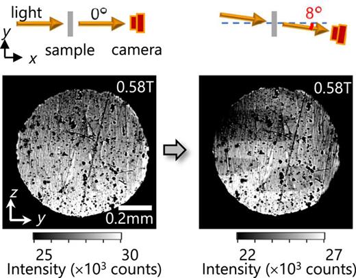 Visualization of “hidden” AFM domains with slightly tilted incident light. As seen in the left panel, in an applied magnetic field of 0.58 T, the AFM domains (Lx+ and Lx−) are indistinguishable when the light propagation direction is parallel to the x axis. In contrast, as seen in the right panel, the two AFM domains are clearly distinguishable when the light propagation direction is slightly tilted by ∼8° from the x axis to the y axis. Adapted from Ref. 22.