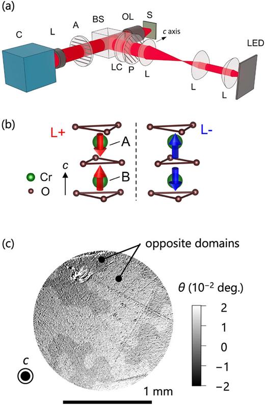 (a) A schematic illustration of the optical setup for the NRR-based AFM-domain imaging. P: Polarizer; L: Lens; S: Sample; A: Analyzer; D: Si-detector; Q: Quarter-wave plane; LED: LED light source; OL: Objective lens; C: sCMOS camera; LC: Liquid crystal variable retarder; BS: Beam splitter. (b) A time-reversed pair of AFM domains in Cr2O3 (L+ and L−). The Cr spins of sites A and B are indicated by red arrows for L+ and blue arrows for L−. (c) AFM domains of Cr2O3 visualized by the NDD at 1.91 eV. Adapted from Ref. 46.