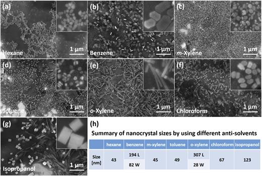 SEM images of Cs2CuSbCl6 DPNCs synthesized in hexane (a), benzene (b), m-xylene (c), toluene (d), o-xylene (e), chloroform (f), and isopropanol (g). The amounts of OA and OAm are fixed at 400 µl and 150 µl in the synthesis recipes, respectively. Insets: 400 × 400 nm2 fields of view. (h) Summary of nanocrystal sizes by using different anti-solvents (L means length and W means width).
