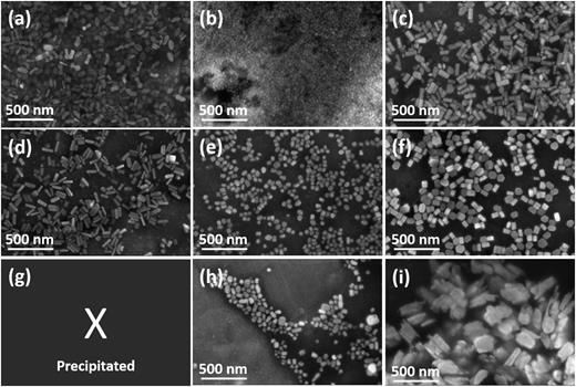SEM images of Cs2CuSbCl6 DPNCs synthesized by using 300 µl (a), (d), (g), 400 µl (b), (e), (h), and 500 µl (c), (f), (i) of OA in chloroform (a)–(c), toluene (d)–(f), and hexane (g)–(i). (g) The products were all precipitated during the separation. The amount of OAm is fixed at 175 µl in the synthesis recipe.