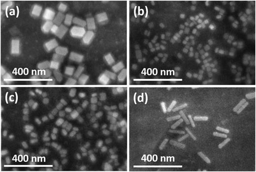 SEM images of Cs2CuSbCl6 DPNCs synthesized by using 150 µl (a), 175 µl (b), 200 µl (c), and 225 µl (d) of OAm. The anti-solvent is toluene, and the amount of OA is fixed at 400 µl in the synthesis recipe. The images are noisy due to the residues of ligands.