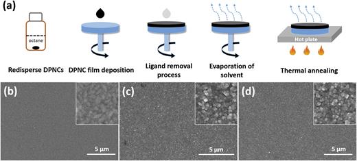 (a) Schematic illustration of the process of DPNC film fabrication. SEM images of Cs2CuSbCl6 DPNC films without washing (b) or washed with methyl acetate (c) or ethyl acetate (d). All films were spin-coated three times on ITO. Insets: 500 × 500 nm2.