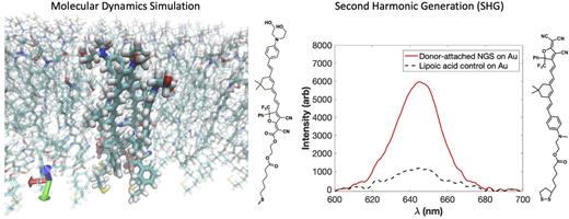 (Left) Snapshot from molecular dynamics simulation of a chromophore-containing SAM, showing a side view of packing and an alignment and individual surface-attached chromophore. (Right) Second harmonic generation spectroscopy (SHG) of a donor-attached NGS chromophore monolayer and a control monolayer. SHG can be used to follow the growth of sequential synthesis layers and assess the acentric order.