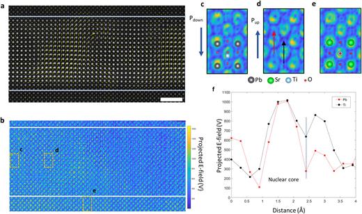 (a) A HAADF survey image collected simultaneously with 4D STEM data. Atomic displacements are overlaid in yellow. Scale bar is 2 nm. (b) Electric field mapping of the same region in (a). (c) Zoomed-in view of a region with polarization down. (d) A zoomed-in view with polarization up. Red and black arrows indicate the position of the line profiles across lead and titanium/oxygen columns, respectively, as shown in (f). (e) A zoomed-in view of the highlighted region in STO. (f) Line profiles of the electric field magnitude across lead and titanium/oxygen columns.