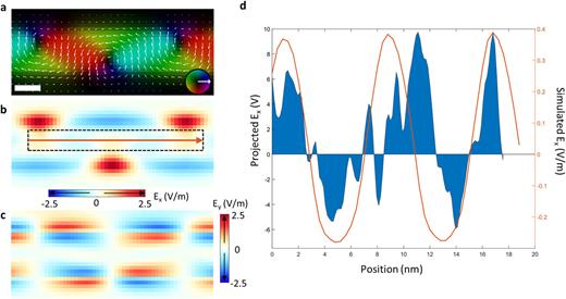 (a), Polarization of the PTO layer from phase-field simulation. (b) and (c) The electric field components, Ex (b) and Ey (c), from phase-field simulation. (d) Line profiles of the Ex component from experiment (blue) and phase-field simulation (orange) for comparison. Scale bar is 3 nm.