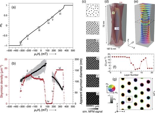 Micromagnetic simulations of equilibrium magnetic configuration. (a) Simulated magnetization curve, (b) skyrmion density and diameter evolution, and (c) the corresponding simulated MFM images for the OP field swept from negative to positive values. The gray shaded area in (b) results from uncertainties in determining the skyrmion diameter, as discussed in Appendix C. (d) mz contours and (e) in-plane components of the magnetization texture of a single skyrmion in the lattice phase at 285 mT. (f) Topological charge density Q per layer at 285 mT. (g) Magnetic configuration of layer 12 at 285 mT.
