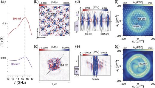 Emission and interference of spin waves in skyrmion lattice. (a) Simulated susceptibility curves at 300 and 364 mT with the dynamic magnetization profiles ⟨δmx⟩ in (b) and (c) of layer 10, respectively, corresponding to the resonance at 15.5 GHz. Cross sections of ⟨δmx⟩ marked by dotted lines in (b) and (c) are also shown, respectively, in panels (d) and (e), highlighting the in-phase skyrmions core precession (in blue) and spin wave emission in the surrounding medium (alternate blue and red zones). (f) and (g) Power spectral density (PSD) of the layer averaged spatial discrete Fourier transform of the dynamic magnetization profiles indicating the average kSW-vector of the emitted SWs at 300 and 364 mT, respectively. At 300 mT, the skyrmion lattice parameter can also be deduced from the k = 24 μm−1 periodic pattern seen in the spatial Fourier transform.