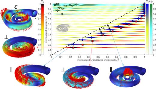 Eigenfrequency study of the structure when the axial pitch is reduced to zero, i.e., the structure is planospiral, and the BCs are fixed–free. Main panel: color bars represent the normalized displacements as a function of the curvilinear angle and eigenfrequency. The different color maps represent the different types of modes, circumferential, predominantly axial, or predominantly planar. The blue diamonds and red squares represent the maximum axial and planar displacements, respectively, while the circles refer to circumferential modes. The black dashed line represents the ideal tonotopic line. The other sketches report some examples of modal shapes for the three types of modes. The red arrows represent the displacement vector.