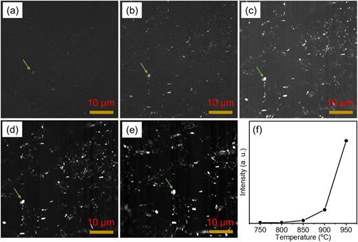 ThEEM image of the (110) SrVO3 cathode surface collected at (a) 750 °C, (b) 800 °C, (c) 850 °C, (d) 900 °C, and (e) 950 °C. (f) Temperature dependence of the image-averaged intensity of the emitting patches as observed in the ThEEM images. The green arrows in (a)–(e) are a guide for the eye, marking the same emission spot in each image.