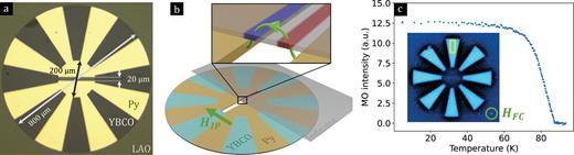 (a) Optical image of the investigated sample. The outer radius is four times larger than the inner one. (b) Schematic view of the experimental setup used to extract the polarization at the gap via magneto-optical imaging (MOI). A Faraday indicator is placed on top of the sample mounted in a cryostat, and the in-plane magnetic field is swept while capturing images of the magnetic landscape at various temperatures. The indicator senses the out-of-plane component of the magnetic field coming from the stray field above the gap, as depicted in the close-up view. (c) Evolution of the MOI signal arising from trapped flux in the YBCO after field cooling in an out-of-plane field as a function of temperature. The mean value in the yellow rectangle from which the slightly temperature-dependent background was subtracted gradually drops to zero at Tc = 87 K.