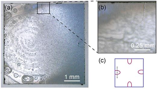 (a) Micrograph of the homoepitaxial sapphire film grown at 2000 °C [Figs. 1(k) and 1(l)]. The melt pool and bubbles are frozen due to quenching. (b) The enlargement shows that growth is being precluded at the position of the holder. Step bunching results in steps visible to the naked eye. (c) Schematic of the sample depicting in red the areas that are blocked during growth; the dashed line exemplary shows where profilometry is carried out.