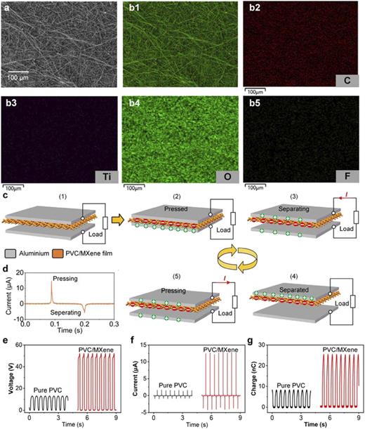 (a) SEM image of the PVC/MXene composite film. (b1)–(b5) EDS elemental mapping showing the distribution of mixed elements, C, Ti, O, and F, respectively. (c1)–(c5) Schematic illustration of charge transfer mechanisms during the cyclic compression process of the composite film. (d) Electrical output signals during the pressing and separating phases. Output performance comparison between PVC/MXene and pure PVC films in terms of (e) VOC, (f) ISC, and (g) QSC.