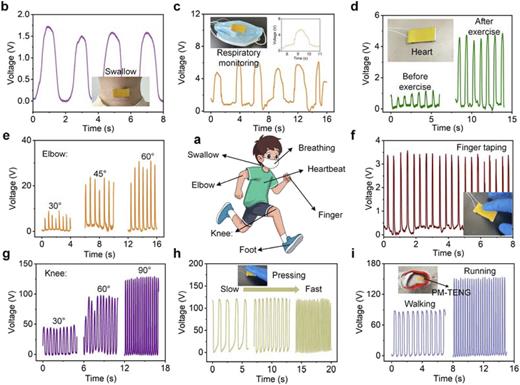 (a) Overview of PM-TENG’s applications in sensing swallowing, respiration, heartbeat, finger tapping, joint motion, and full-body movements. (b) Voltage output during swallowing. (c) Respiratory monitoring using a PM-TENG attached to a face mask. (d) Heartbeat monitoring before and after exercise. (e) Voltage output for elbow bending at different angles (30°, 45°, and 60°). (f) Detection of finger tapping motions. (g) Voltage output for knee bending at different angles (30°, 60°, and 90°). (h) Voltage signals corresponding to slow and fast pressing motions. (i) Monitoring of walking and running activities.
