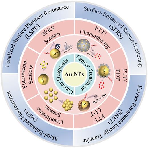 Schematic illustration of cancer diagnosis and treatment based on the optical properties of gold nanoparticles (Au NPs).