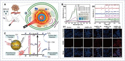 (A) Schematic illustration of core–shell Au@Cu2−xSe NPs for PA/CT imaging-guided PTT/CDT for synergistic cancer treatment. (B) (a) UV–vis-NIR absorption spectra of MB aqueous solutions containing H2O2 and Au@Cu2−xSe NPs after treatments at different temperatures. The inset photograph shows the corresponding color changes of MB solutions. Au@Cu2−xSe: 100 μg ml−1. MB: 10 μg ml−1. H2O2: 10 mM. (b) ESR spectra of Au@Cu2−xSe NPs recorded at different temperatures. The spin trap was DMPO. Au@Cu2−xSe: 50 μg ml−1. DMPO: 50 mM. H2O2: 100 μM. (c) CLSM images of 4T1 tumor cells after different treatments, where Hoechst 33 342 (blue) and OH580 (red) were used to observe the cell nucleus and ·OH generation, respectively. Scale bar = 50 μm. Au@Cu2−xSe: 50 μg ml−1. H2O2: 100 μM. NIR: 808 nm laser, 1.0 W cm−2 for 5 min. Reproduced with permission from Zhang et al., J. Nanobiotechnol. 19, 410 (2021). Copyright 2021 Springer Nature BV. (C) Schematic illustration for the photothermal conversion-coordinated Fenton-like and photocatalytic reactions of the Janus NPs. Reproduced with permission from Wang et al., Biomaterials 255, 120167 (2020). Copyright 2020 Elsevier Science & Technology Journals.