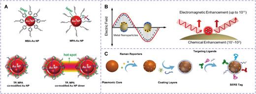 (a) Formation of molecular hot spots. Reproduced with permission from Li et al., Nanoscale 12, 22036–022041 (2020). Copyright 2020 Royal Society of Chemistry. (b) The illustration of EM and CM of SERS. Reproduced with permission from Zhang et al., Theranostics 9, 491 (2019). Copyright 2019 Author(s), licensed under a Creative Commons Attribution-NonCommercial 4.0 International License. (c) The building blocks and preparation process of a SERS tag. Reproduced with permission from Liu et al., Theranostics 12, 1870 (2022). Copyright 2022 Author(s), licensed under a Creative Commons Attribution 4.0 International License.