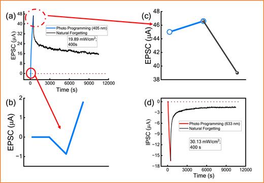 (a) EPSC under the illumination of 405 nm, magnified-view of variation in PSC immediately after (b) turn-on, (c) turn-off the 405 nm light, and (d) IPSC under the illumination of 633 nm.