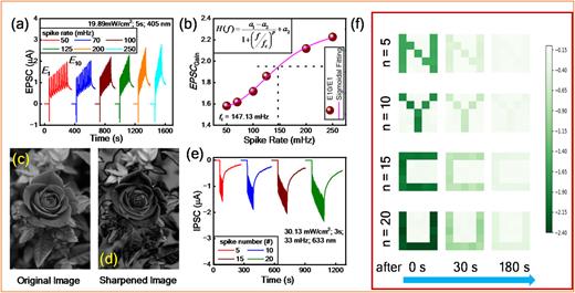 (a) SRDP behavior under violet light. (b) Plot of EPSC gain against the spike rate. Flower images (c) before and (d) after processing by HPF. (e) SNDP behavior under red light. (f) Image memory application.