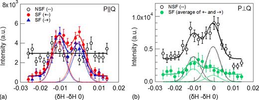 FIG. 2. Polarized neutron diffraction measurements of the 10.4% Sm-doped BFO film. Intensity profiles are taken in (H K (H + K)/2) zone with (a) P (neutron polarization)||Q (scattering vector) and (b) P⊥Q. Open circles indicate NSF and close circles and triangles indicate SF scattering. Horizontal axes indicate the displacement from (0.5 0.5 0.5) reflection. Since we index within the reference frame of the substrate, the offset in H from δ = 0 is due to an imperfect lattice match/epitaxy. Error bars are statistical in nature and represent one standard deviation. Solid lines represent fits to the data to two Gaussians and a background and dotted lines represent the Gaussian contribution to the fits. 