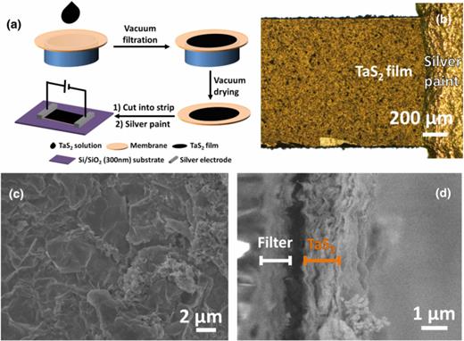 FIG. 1. (a) Schematic illustration of the fabrication of TaS2 device by vacuum filtration. (b) The optical image of the interface of TaS2 channel and silver electrode. SEM topography image (c) and cross-sectional image (d) of TaS2 film.