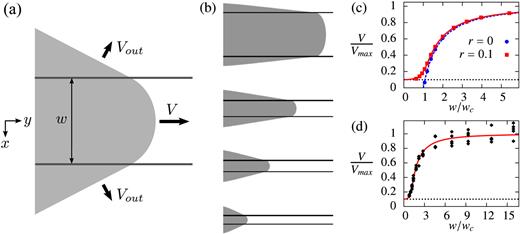 FIG. 1. (a) Schematic of guided crystallization. Inside (outside) a channel of width w, the growth front propagates at velocity V (Vout) and adopts a curved (planar) shape. (b) Simultaneously captured steady-state growth morphologies from numerical simulations of isotropic single crystal systems with channel widths w/wc = 5.4, 2.0, 1.4, and 1.1 for leakage rate r = 0.1. (c) Normalized growth velocity as a function of w/wc. The blue dashed and red solid curves are fits to Eq. (2) for r = 0 and r = 0.1, respectively, while the black dotted line indicates V/Vmax = 0.1, where Vmax denotes the asymptotic growth velocity achieved for w/wc → ∞. (d) Normalized growth velocity from simulations of polycrystalline systems with five different initial conditions, for r = 0.1. The red solid curve again is a fit to Eq. (2). 