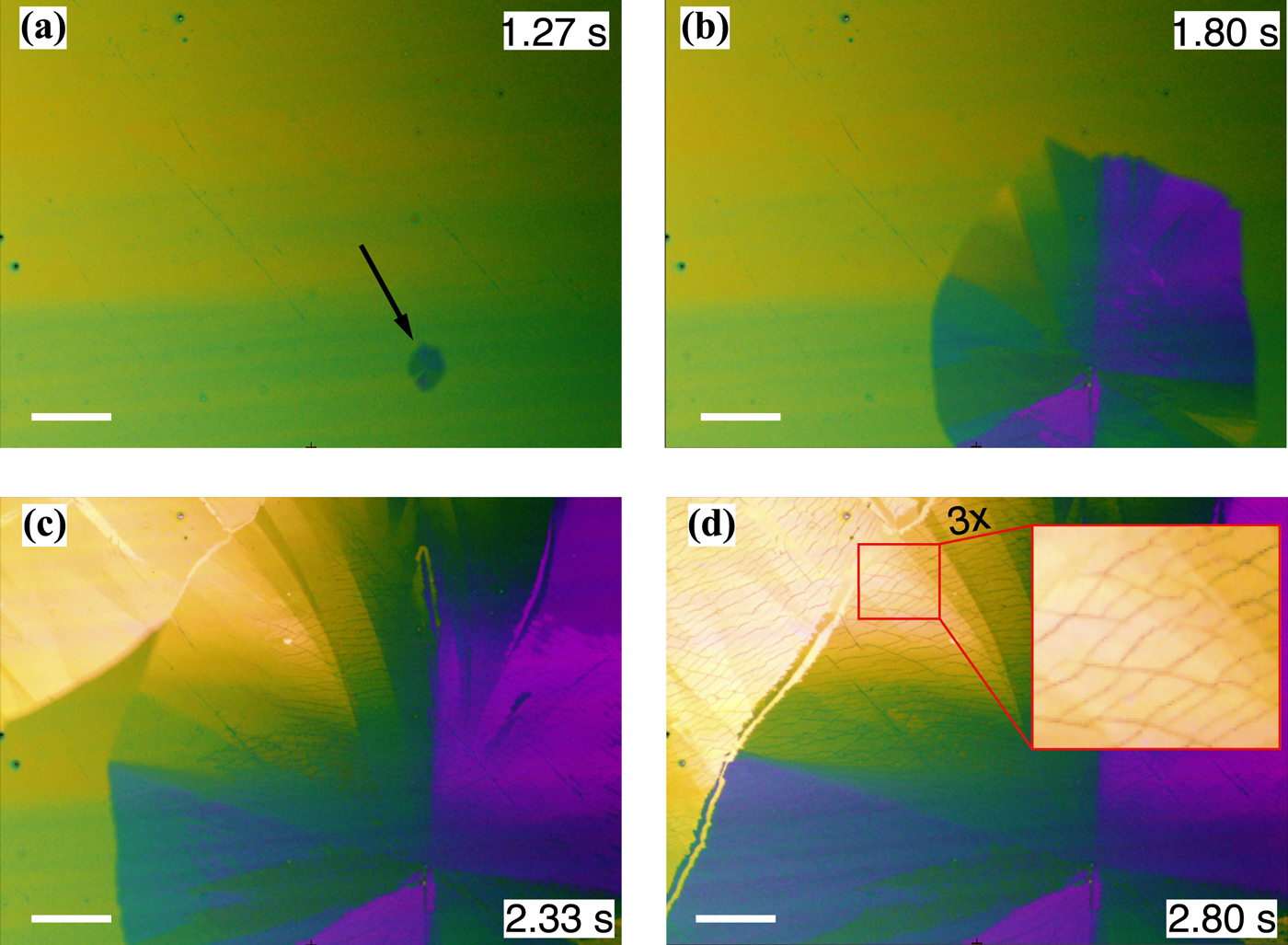 Transient phases during fast crystallization of organic thin films from ...