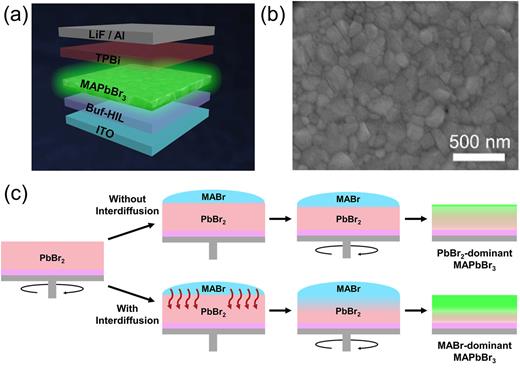 FIG. 1. (a) Schematic illustration of the device structure. (b) Top-view SEM image of the MAPbBr3 polycrystalline film deposited by a modified two-step deposition process. (c) Schematic illustration of the two-step deposition method with and without the interdiffusion process.