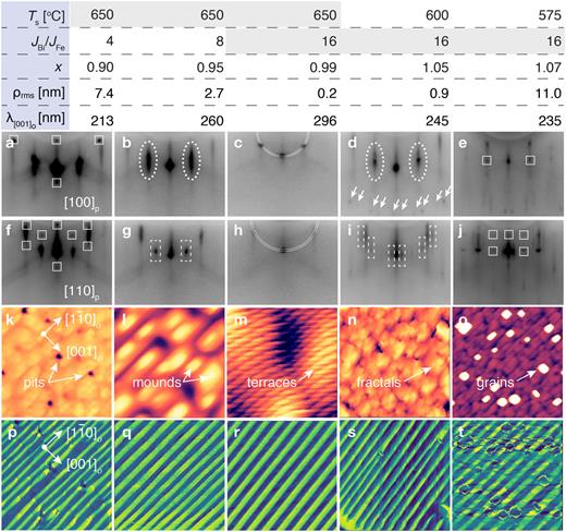 Ferroelectric properties of ion-irradiated bismuth ferrite layers grown ...