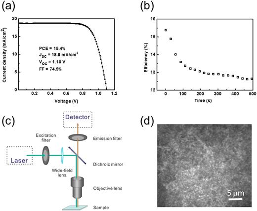 FIG. 1. (a) J-V curve of a PSC with the structure FTO/compact TiO2/CH3NH3PbI3−xClx/Spiro-OMeTAD/Au. (b) The PCE decay of a planar PSC under continuous illumination (AM 1.5G) in nitrogen atmosphere with the scan rate of 0.8 V/s. (c) Schematic diagram of a wide-field PL microscope. (d) Wide-field PL image of a perovskite film using an exposure time of 50 ms and an excitation intensity of 40 mW/cm2 at 532 nm wavelength. 