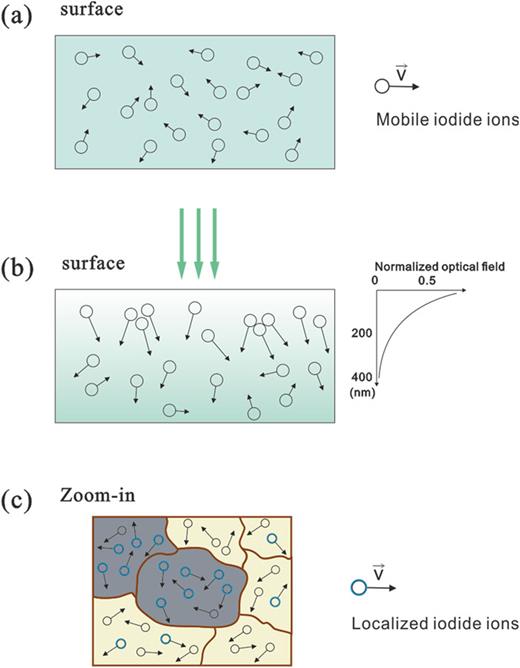 FIG. 5. The schematic of light-induced PL inactive areas: (a) The perovskite film without illumination. The iodide ions uniformly distribute through the film and have limited mobility. (b) Under illumination, the iodide ions get more energy and higher mobility. They can drift with the local optical field. (c) The mobile iodide ions can drift within a certain distance. When the local region has more defects, the ions will move there. The accumulation of iodide ions leads to non-radiative recombination. The arrow in the figure is for the possible moving direction of iodide ions and the magnitude of the arrow is for the mobility. 
