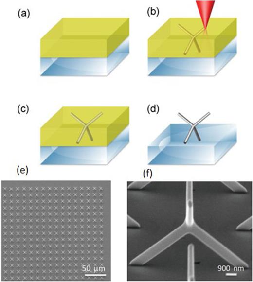 (From Ref. 180) Two-photon lithography and electrodeposition. (a) Spin-coating of a positive resist onto a glass/ITO substrate. (b) Two-photon lithography of a 3D structure into the positive resist. (c) Electrodeposition of Co into the channels. (d) Lift off of the resist. (e) Large scale SEM of a tetrapod array (top view). (f) SEM image of a tetrapod obtained after 45° out-of-plane substrate rotation.