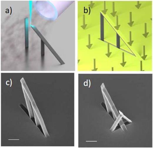 (From Ref. 181) Fabrication of a 3D magnetic domain wall conduit. (a) 3D printing of a nonmagnetic scaffold using focused electron beam induced deposition. (b) 3D magnetic nanowire created by depositing a magnetic layer using thermal evaporation. (c) SEM image of a nanomagnetic conduit after Permalloy evaporation (50 nm). (d) SEM image of a control nanostructure, disconnected from the 2D source by adding a nanobridge at its base, which shadows the growth of evaporated magnetic material on the area beneath it. Scale bars 1 µm.