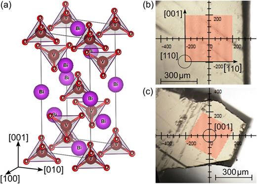 FIG. 1. (a) Schematic representation of the tetragonal unit cell of BiVO4. Optical microscopy images of (b) the (110)-oriented sample and (c) the (001)-oriented sample. For both samples, optical measurements were done with a vertical and a horizontal light polarization. The measurement areas are highlighted in red.