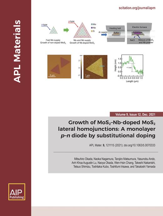 APL Materials Cover Image for Volume 9, Issue 12