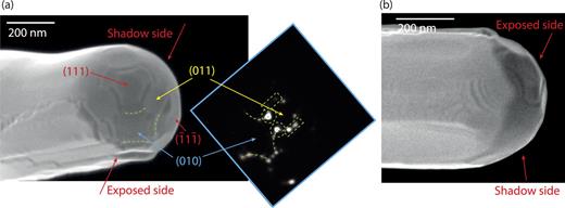 FIG. 2. ((a) and (b)) SEM images of the tungsten tip apex with a nano-tip from different view points, acquired in the high resolution (immersion) mode using the secondary electron detector (through-the-lens detector) at 2 kV and a working distance of 4 mm. The white scale bars indicating 200 nm. The inset of (a) is the electron emission pattern identical to Fig. 1(d). 