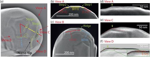 FIG. 3. ((a)–(f)) SEM images of the tungsten tip apex from different view points and for different magnifications. In all images, the yellow, red, and blue lines indicate (011), (111), and (010) type facets, respectively. The dashed lines and circles indicate ridges and corners, respectively, formed by the intersection of facets. (a) shows only the apex of the tip from the same image as in Fig. 2(a). Edges of structures observed in (a) and (f) are intensified for more clear visualization. The different view points of imaging the tip apex shown in (b)–(f) are roughly indicated as Views A–D. The white scale bars are 200 nm in (b) and (c) and 50 nm in (d)–(f). The green arrow indicates the location of the nano-tip in (d)–(f). 