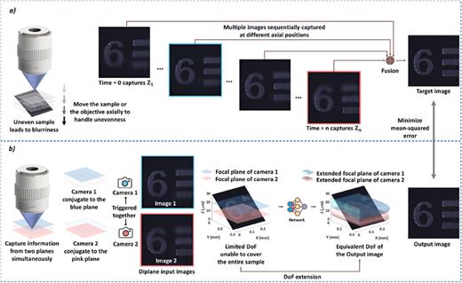 Extended depth-of-field microscopic imaging for intact histological ...