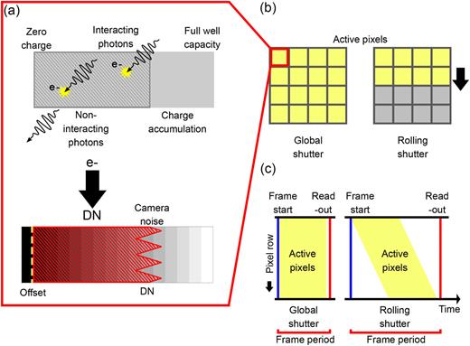 Optimizing image capture for low-light widefield quantitative ...