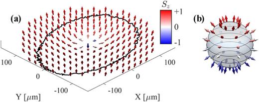 Experimentally measured topological optical skyrmion texture in a laser beam. (a) Skyrmion texture represented by the Stokes vectors on the cross-sectional plane of the laser beam. The solid-black curve determines the path along which the Stokes vector maintains a constant angle of 0.88π between the radial and vertical axes. (b) The region outlined by this path is mapped to a sphere to determine the S2 → S2 mapping of the skyrmion topology. The structure within the outlined region corresponds to a topological charge value Q ≃ 0.91.