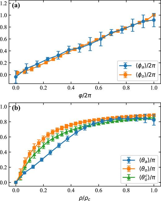 Efficiency of the topological skyrmion transfer from light to matter. (a) Radially averaged spin azimuthal angle ⟨ϕa⟩ (blue circles) for the atomic and ⟨ϕo⟩ (orange squares) for the optical skyrmion, as a function of the azimuthal coordinate φ [see definitions in and around Eq. (6)]. The error bars represent the standard deviation of the spin azimuthal angle using radial sampling. (b) Azimuthally averaged mixing angle ⟨θa⟩ (blue circles) for the atomic and ⟨θo⟩ (orange squares) for the optical skyrmion, as a function of the radial coordinate ρ. The error bars represent the standard deviation of the mixing angle using azimuthal sampling. The unbalanced light–matter coupling strength results in a corrected ideal transferred mixing angle ⟨θoc⟩ (green triangles), with an algebraic dependence on ⟨θo⟩ (see Appendix A).