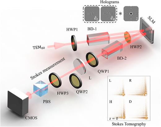Experimental setup. The key components include beam displacer prisms (BD), a spatial light modulator (SLM), a camera (CMOS), a half-wave plate (HWP), and a quarter-wave plate (QWP). The upper-right corner inset displays the holograms used in the experiment. The holograms within the dashed box are used to generate the Airy beams, while the hologram outside the box is coherently superimposed with those inside to perform digital propagation measurements. The lower-right corner inset shows the polarization-dependent intensity profiles obtained via spatial Stokes tomography at the Fourier plane.