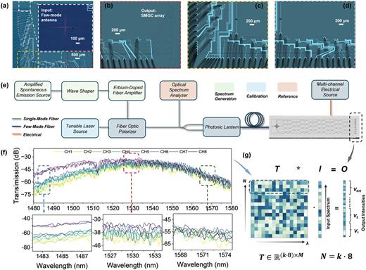 A camera-free and picometer-scale resolution few-mode fiber ...