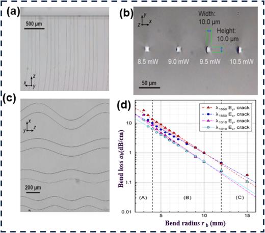 The femtosecond laser fabrication of waveguide structures in ...