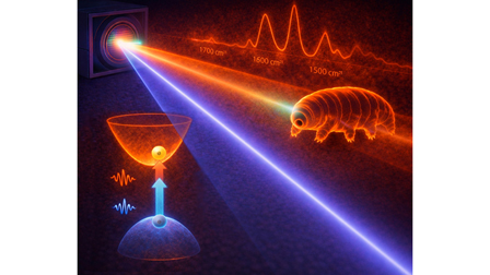 Volume 11 Issue 5 | APL Photonics | AIP Publishing