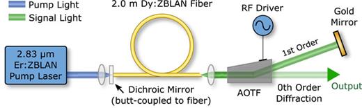 FIG. 2. Schematic of the Dy-doped fiber FSF laser setup.