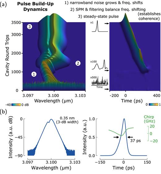 FIG. 3. FSF laser simulation: (a) radiation build-up dynamics from noise and (b) steady-state pulse properties.